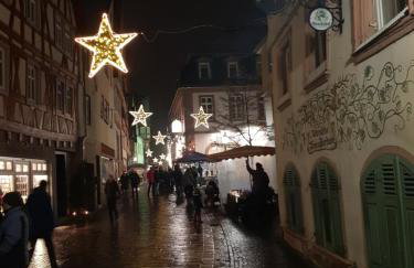 Zauberhafte Wohnung in der Nähe von Heidelberg, top Lage - Foto 47