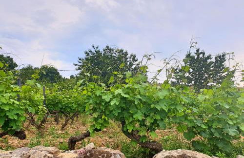 Casa das Hortênsias - Foto 45