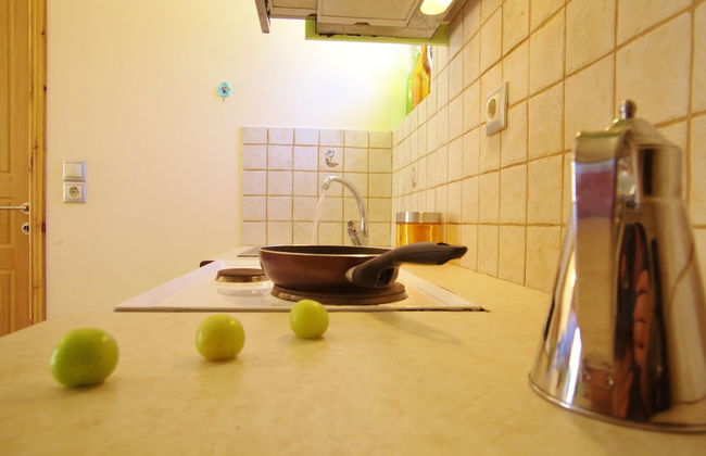 Il Viaggio Verde - Photo 27