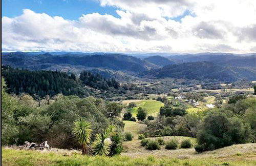 Vacation Rental with Spa and Pool on Winery near Healdsburg, California - Foto 25