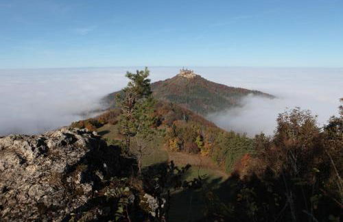Ferienwohnungen beim Imker - Foto 9