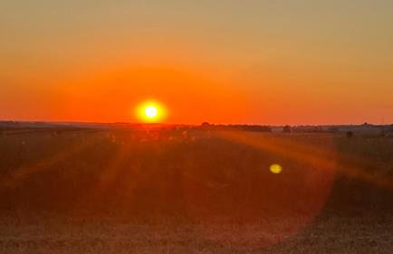 W Kręgu Natury - Foto 51