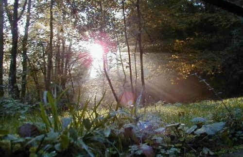 Holiday Home Moselle With Private Sauna - Foto 62