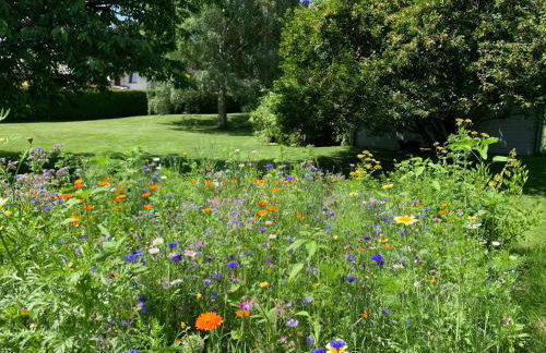 Ferienwohnung Am Holing - Photo 25