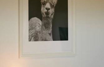 Gästesuite am Lindenhof - Foto 5