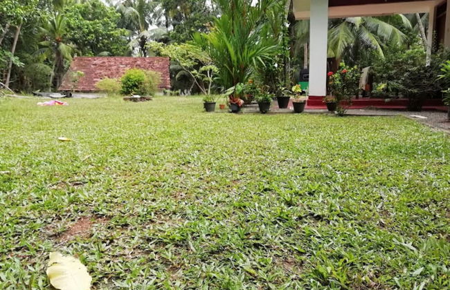 cocos villa hikkaduwa - Photo 13