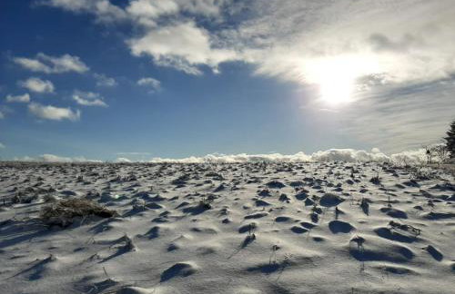 Apartament Czar-nów - Foto 47