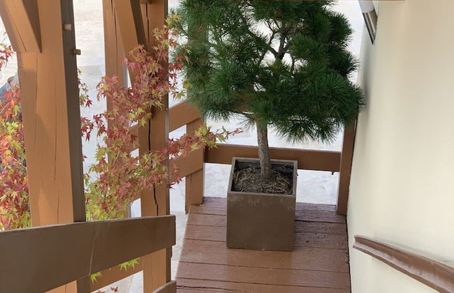 Le Clos de Loré - Photo 15