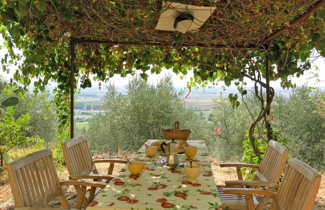 L'Uccelliera - Foto 4