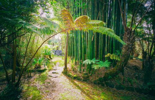 Volcano Teapot Cottage - Foto 11