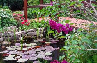 Ferienwohnung "Waldblick" - Foto 16