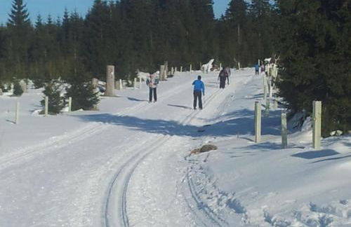 Apartment Fewo Am Skihang OG by Interhome - Foto 18