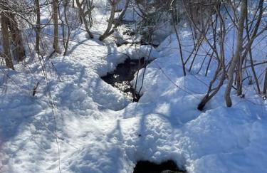 Angel Mist Retreat Entire Place - Foto 7