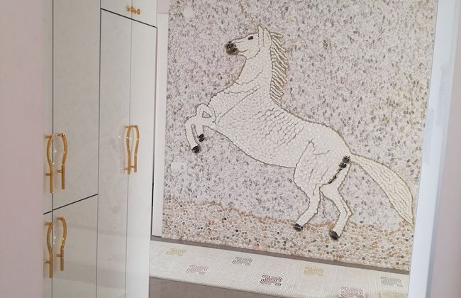 Perice Konak - Photo 5