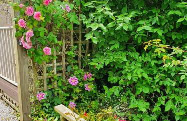 Bijou Coastal Apartment in Polperro With Hot Tub, Onsite Parking 5 min Downhill Walk To Village - Foto 64