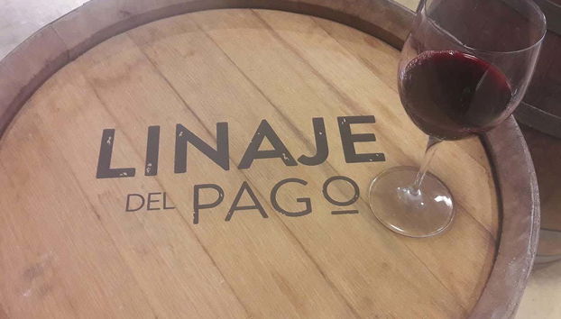 Free tour del vino en El Sauzal - Foto 4, Una copa de vino tinto encima de un barril