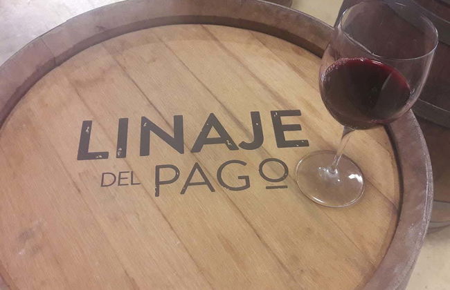 Free tour del vino en El Sauzal - Foto 4