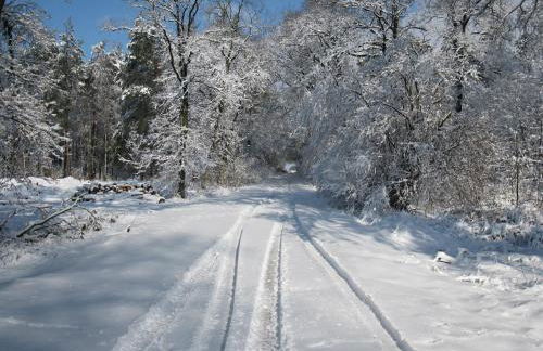 FeWoMeißner - Foto 13