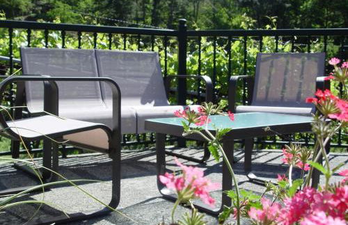 Casa en Viñoas (Ribeira Sacra) - Foto 3