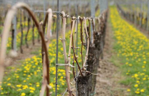 Appartement Familie Ernst - Foto 16