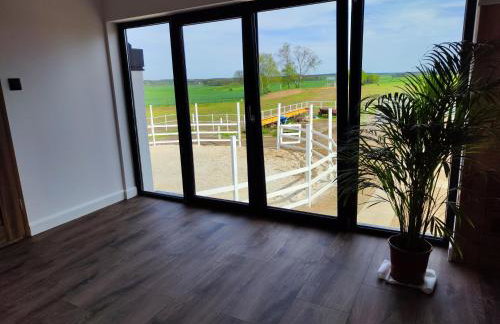 Vigor Horses - Foto 27