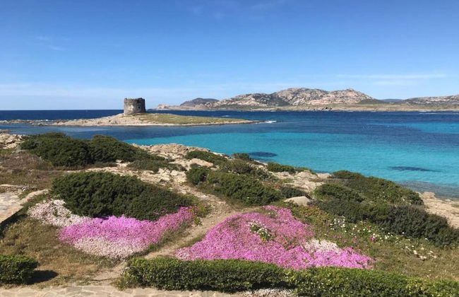 Holiday Home in Stintino Near Sea Beach - Photo 21