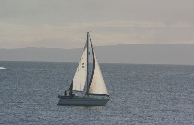 Cellardyke 3-bed Cottage, Sleeps 6 by Seafront - Foto 19
