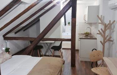 Mickey Mouse Supilova 24 - Foto 5