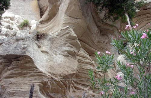 Casa Vacanza Casarcobaleno - Foto 18