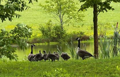 The Farmhouse at Deer Run - Foto 1