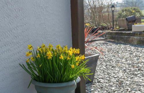 Beautiful Countryside cottage on the North Wales Coast - Photo 19