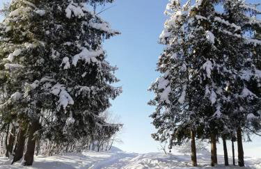 Apartament Antałówka z ogródkiem - Foto 20