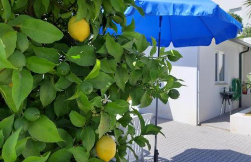 Lemon Tree House - Foto 18