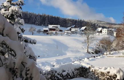 Haus Wiesengrund - Photo 14