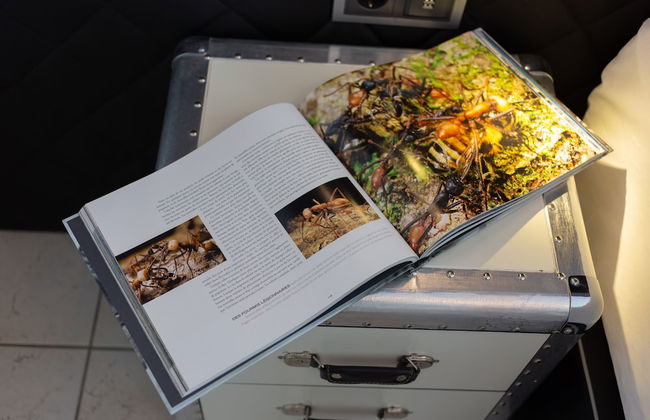 The Queen Apartments - Villa Adriana - Photo 5