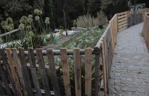 Bosque dos Amieiros - Foto 40