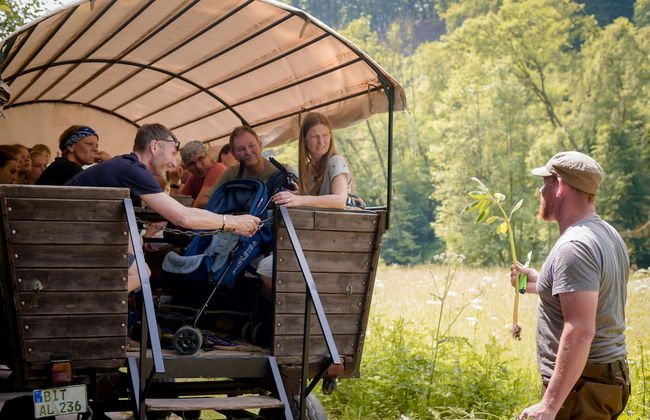 Nengshof - Haus Ehrenpreis - Foto 17