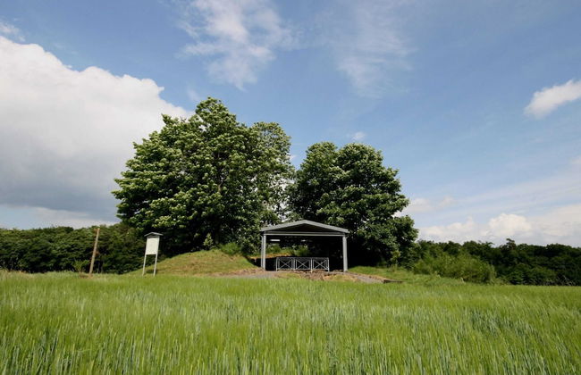 Cozy Apartment in Strotzbüsch near Eifel Center - Foto 15