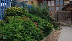 Finca y Casa Rural Los Huertos - Foto 4