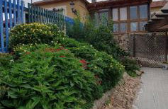 Finca y Casa Rural Los Huertos - Foto 4