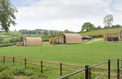 Efyrnwy Pod Vip - Foto 11