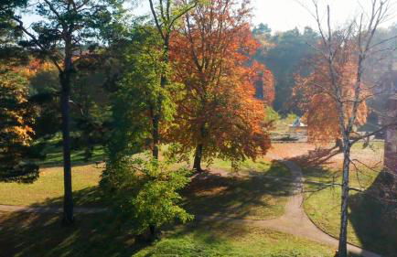 Parkresidenz Lychen, Ferienwohnung 5 - Photo 68