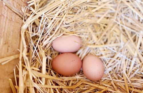 Blacktail Cabin Hideaway with hot tub - Foto 48