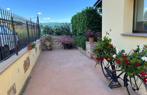 Assisi, la Noce - Foto 38