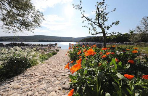 House Tony - Photo 12