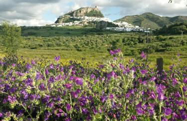 El DETALLE Apartamento y Estudio - Foto 33