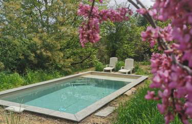 Les IRIS des Rieux - Foto 21