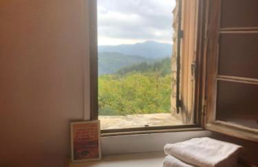 Les Vignals gîtes et événements Cévennes - Foto 27