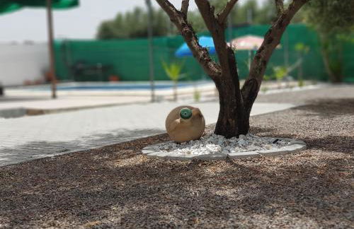 Oasis Pool in the Desert BBQ and Garden - Foto 30