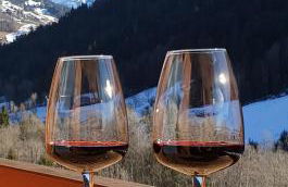 Bienvenue dans notre chalet! Appartement Les Sitelles - Photo 13